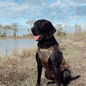 Meet your Posher, Scotty